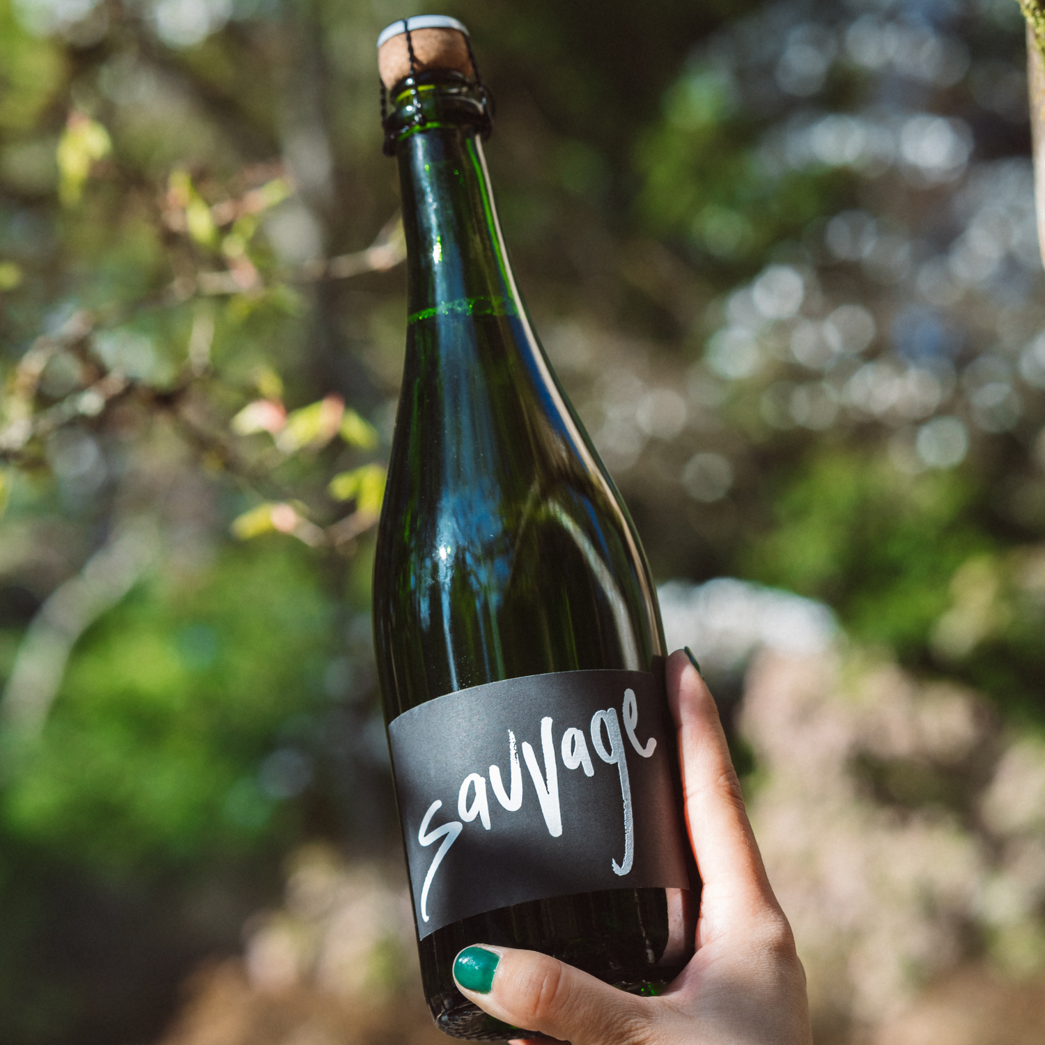 Gruet Sauvage Blanc de Blancs