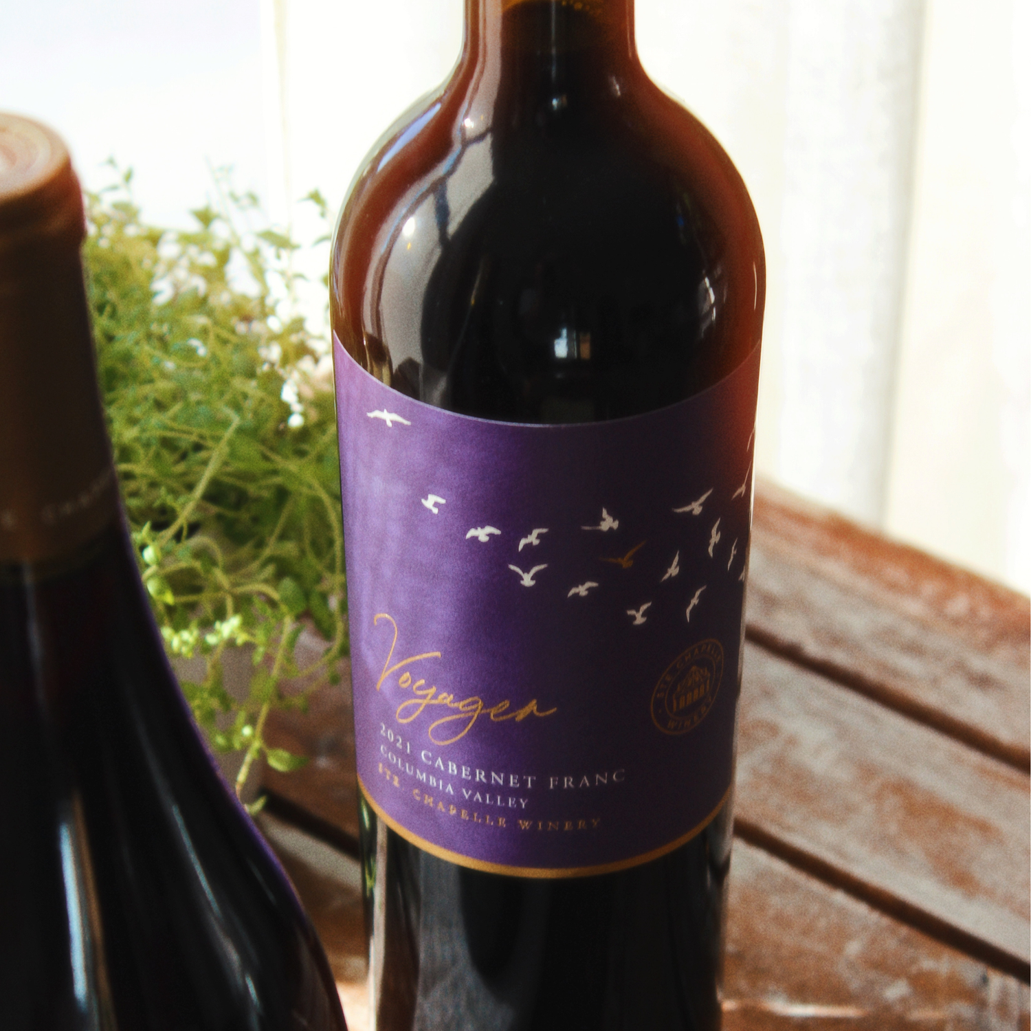 Ste. Chapelle Voyager Cabernet Franc